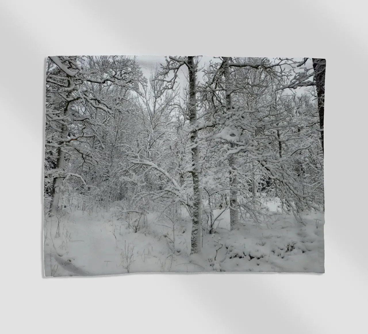 Neve telo mare da Piccola Serenata