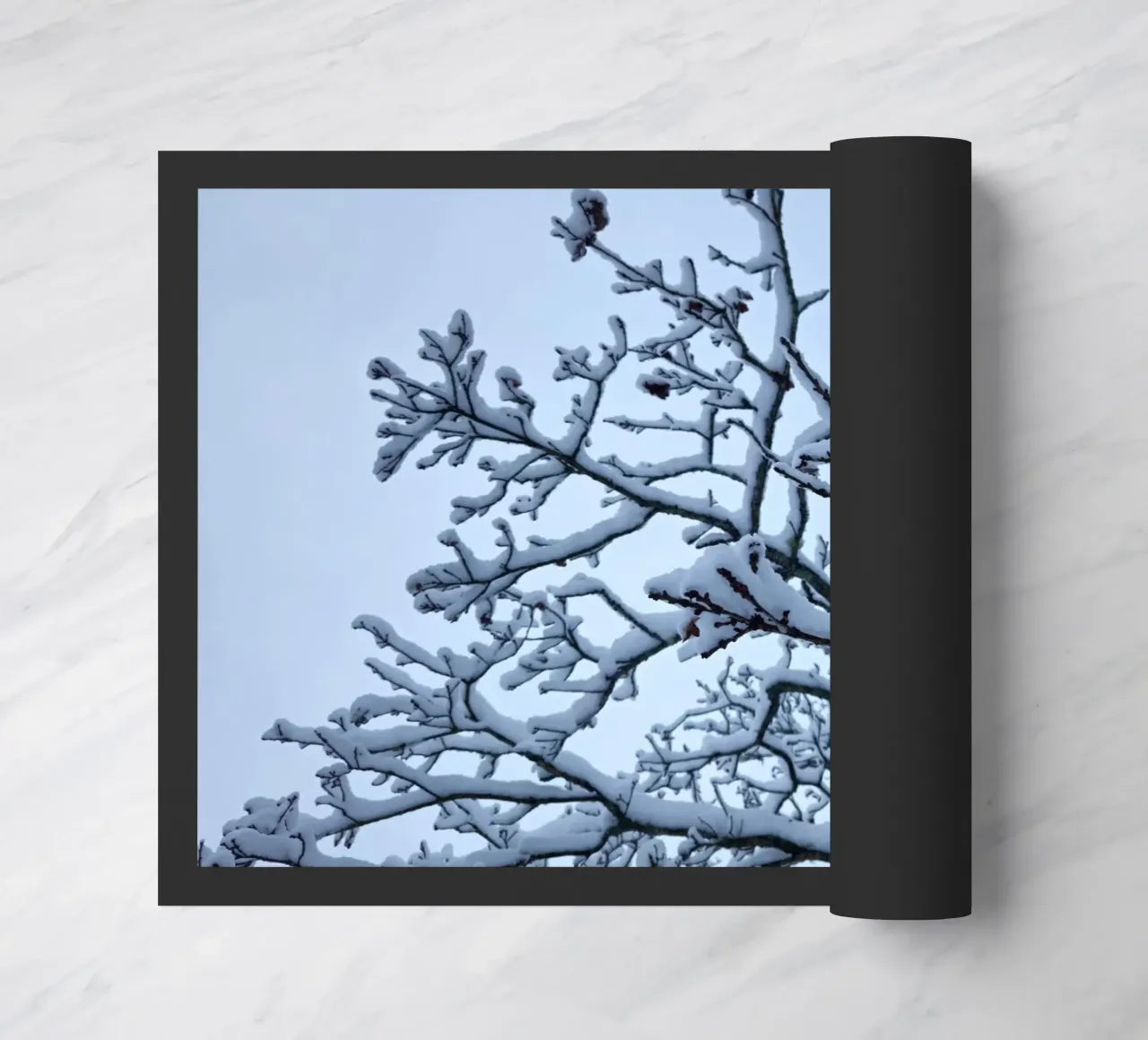 Snow zerbino da Piccola Serenata