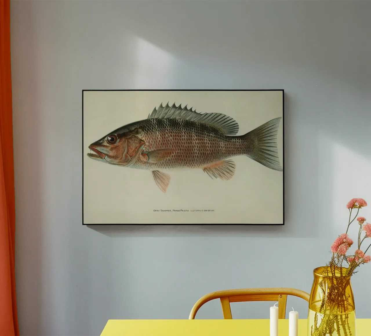 Fish Gray Snapper product.type.acrylglas common.byCreator Monillustrations