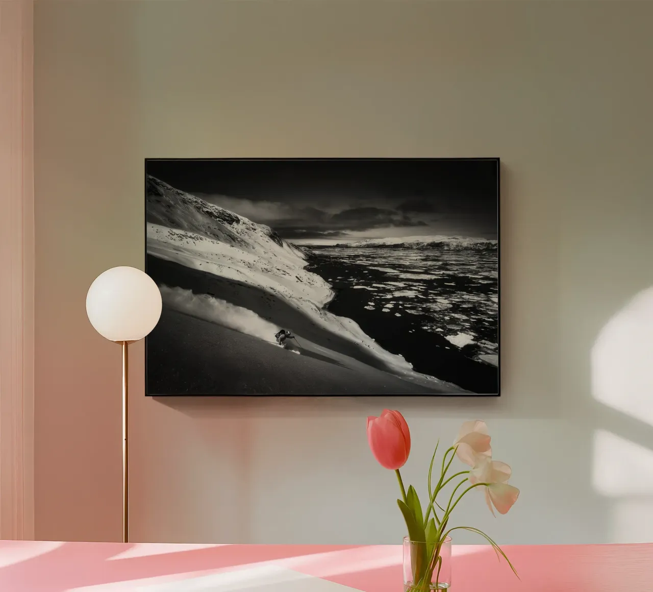 SCI FREERIDE 55 plexiglass da clssical moment