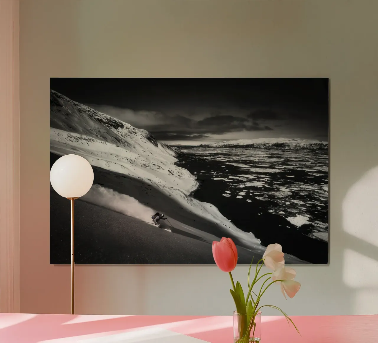 SCI FREERIDE 55 poster da clssical moment