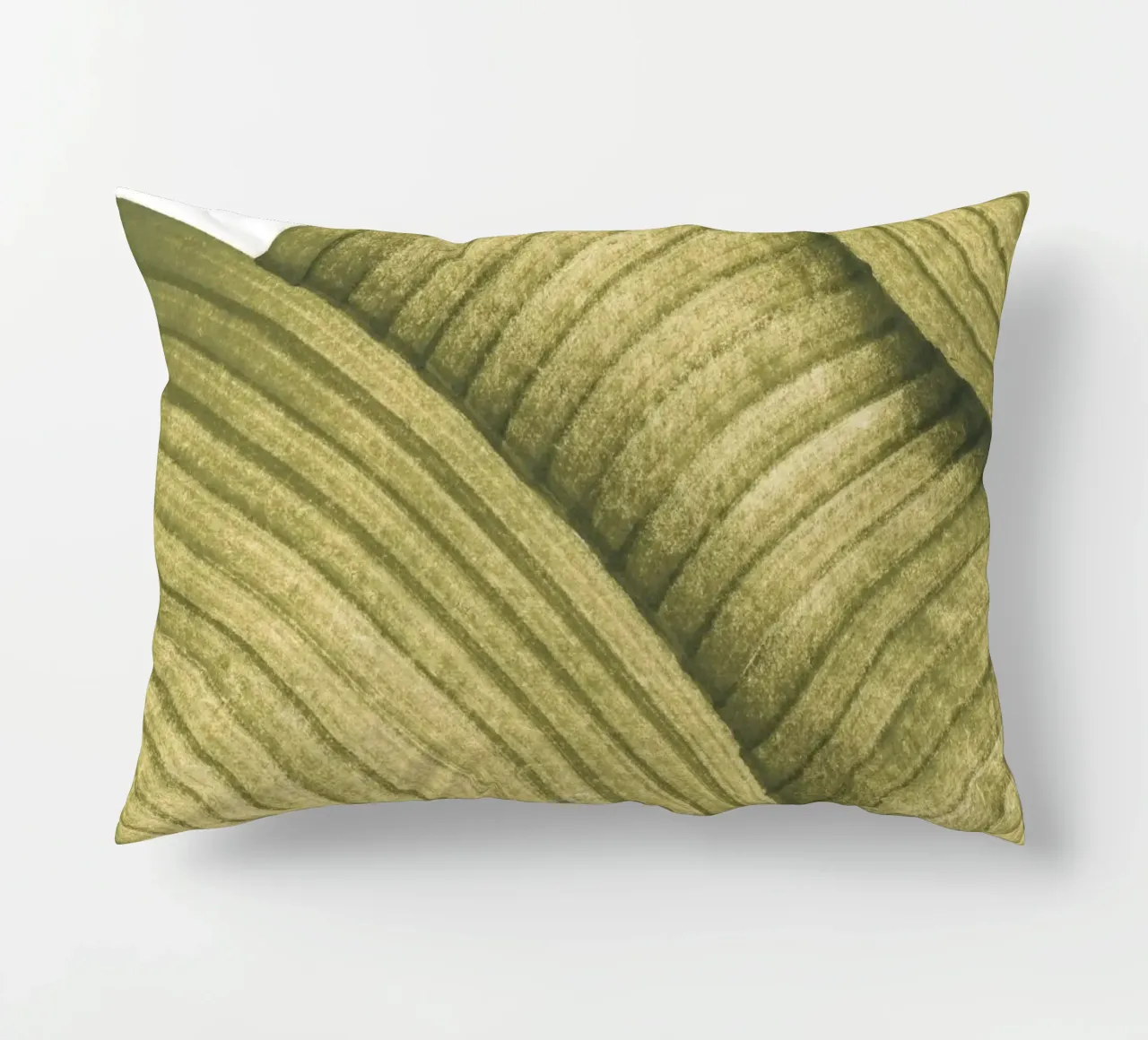 Musa Sapientum cuscino da studiosantai