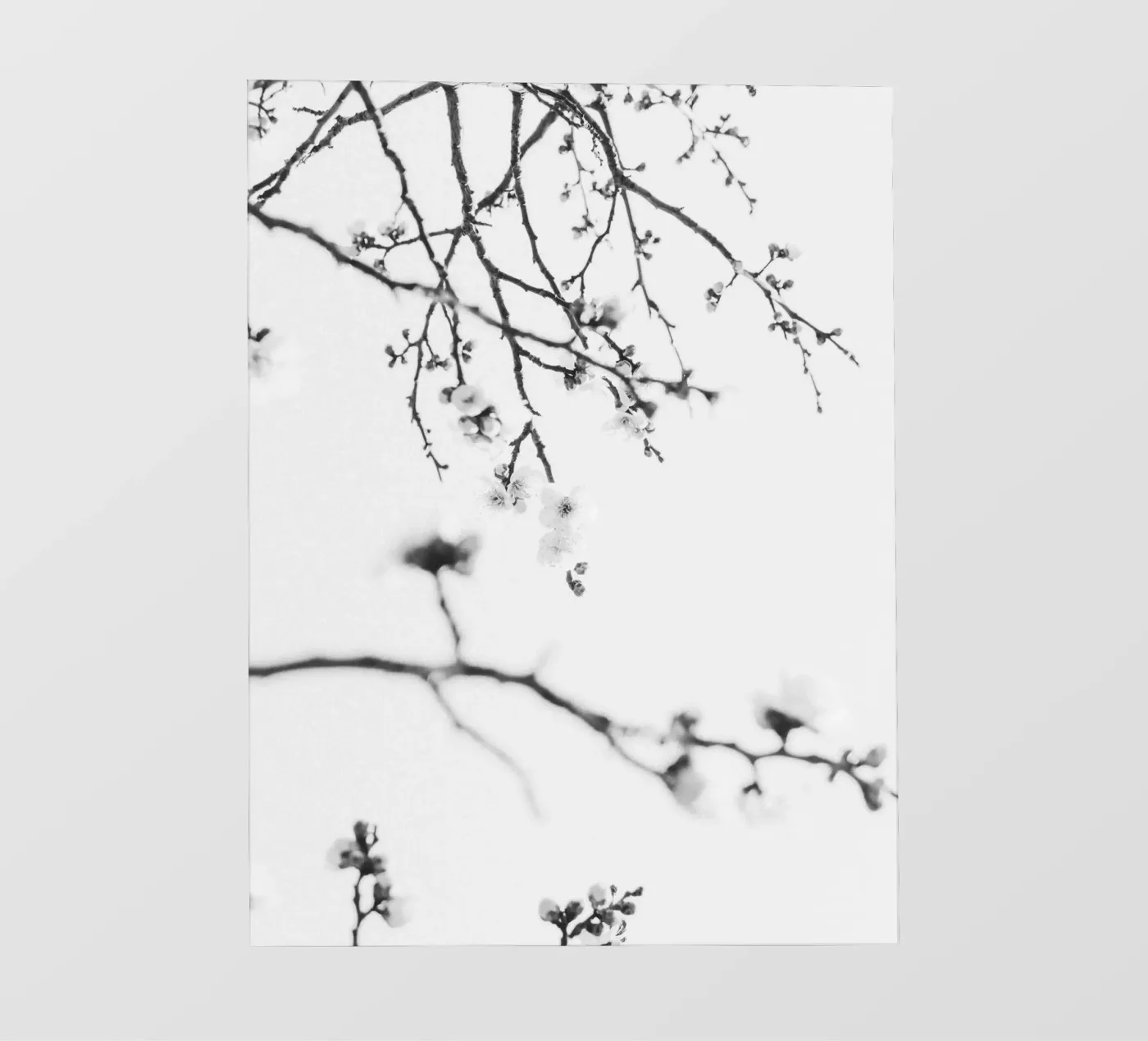 Branches BW fotobehang van PERSIE