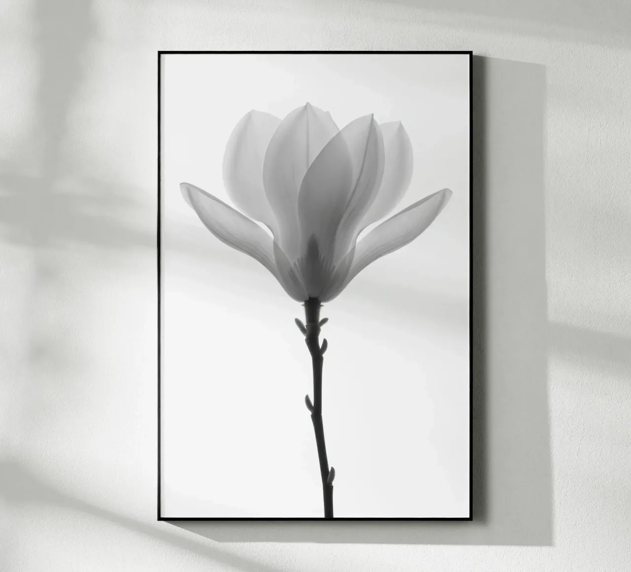 fiore bianco e nero plexiglass da B&W