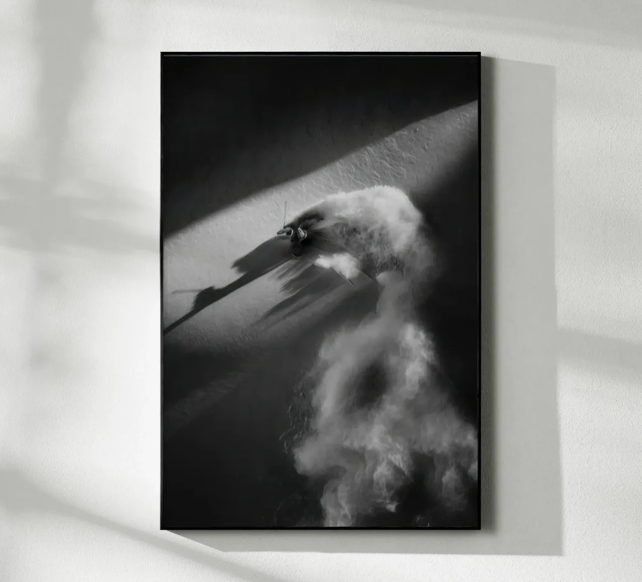 SCI FREERIDE 73 plexiglass da clssical moment