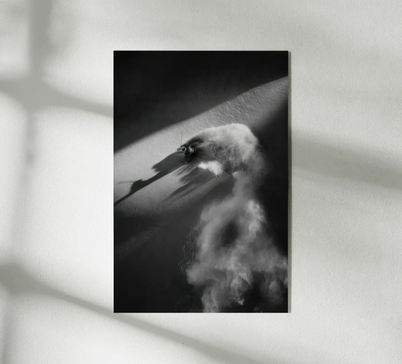 SCI FREERIDE 73 plexiglass da clssical moment