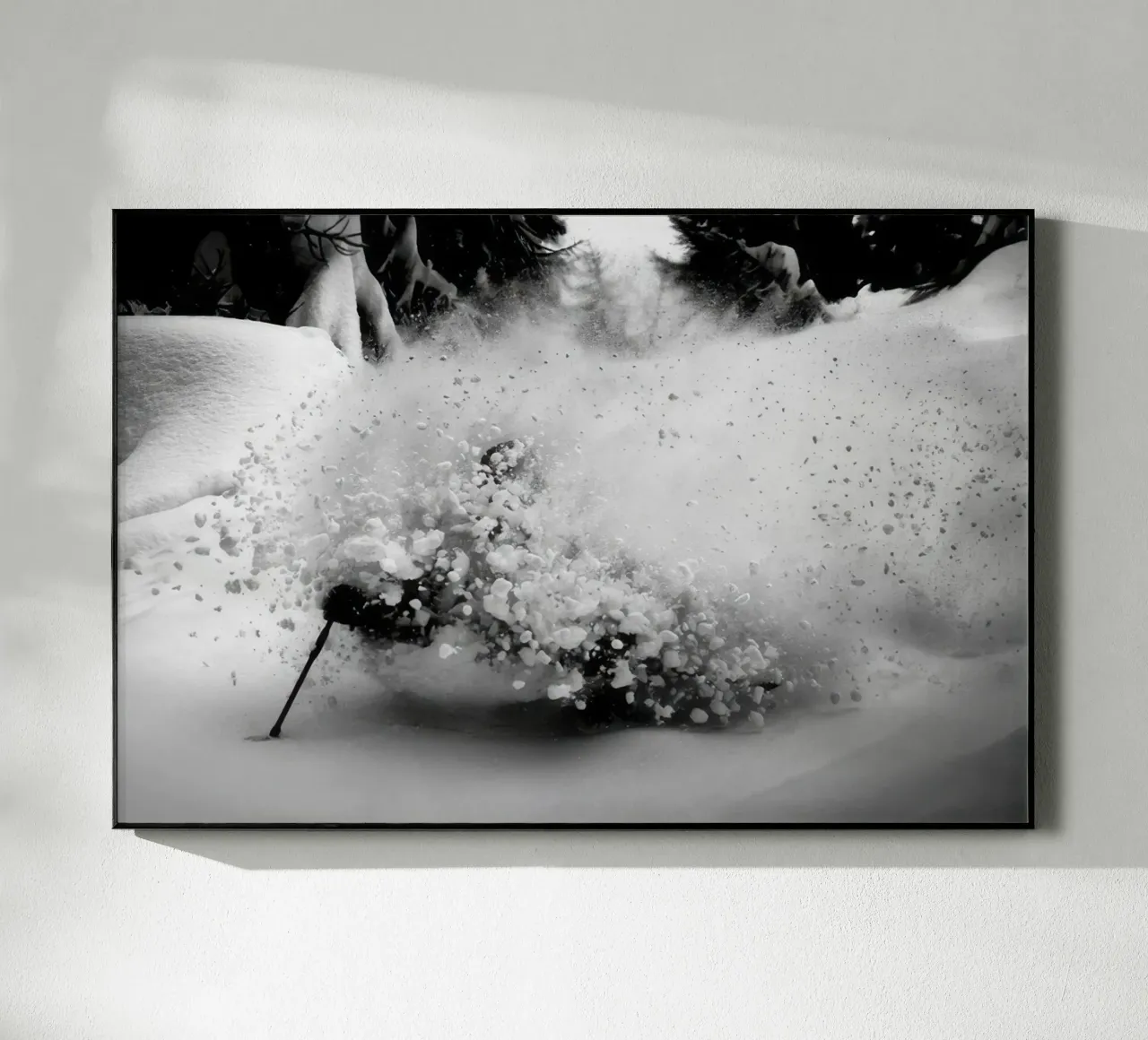 SCI FREERIDE 119 plexiglass da clssical moment