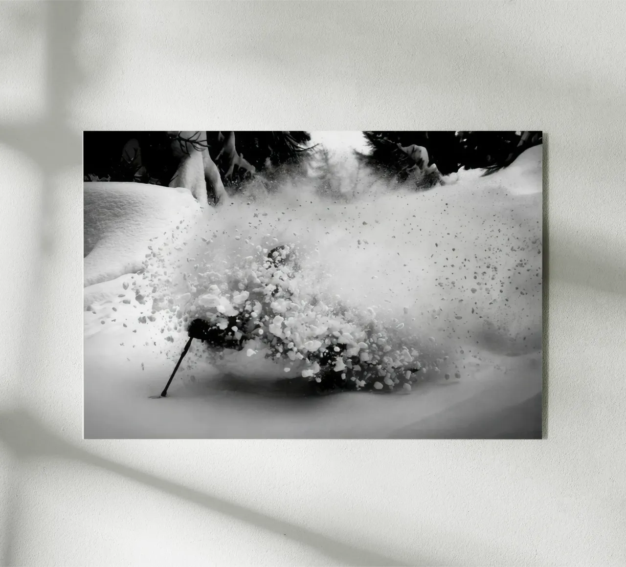 SCI FREERIDE 119 plexiglass da clssical moment