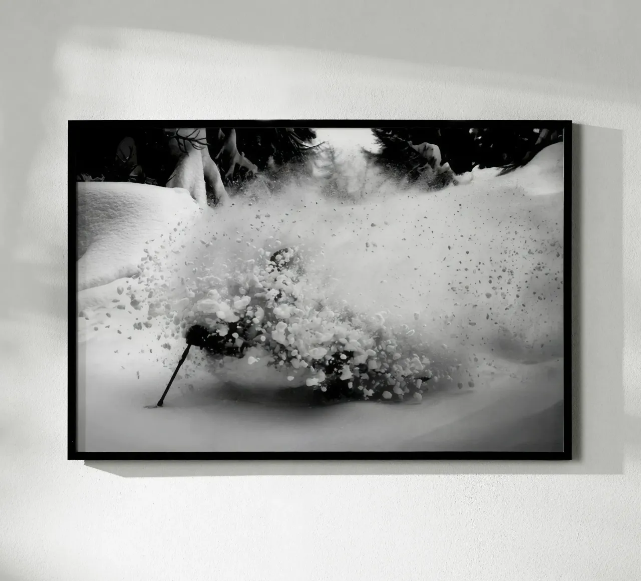 SCI FREERIDE 119 poster da clssical moment