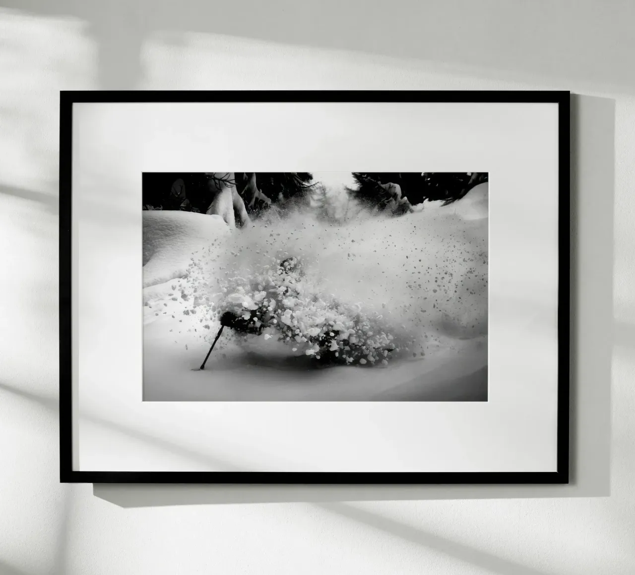 SCI FREERIDE 119 poster da clssical moment