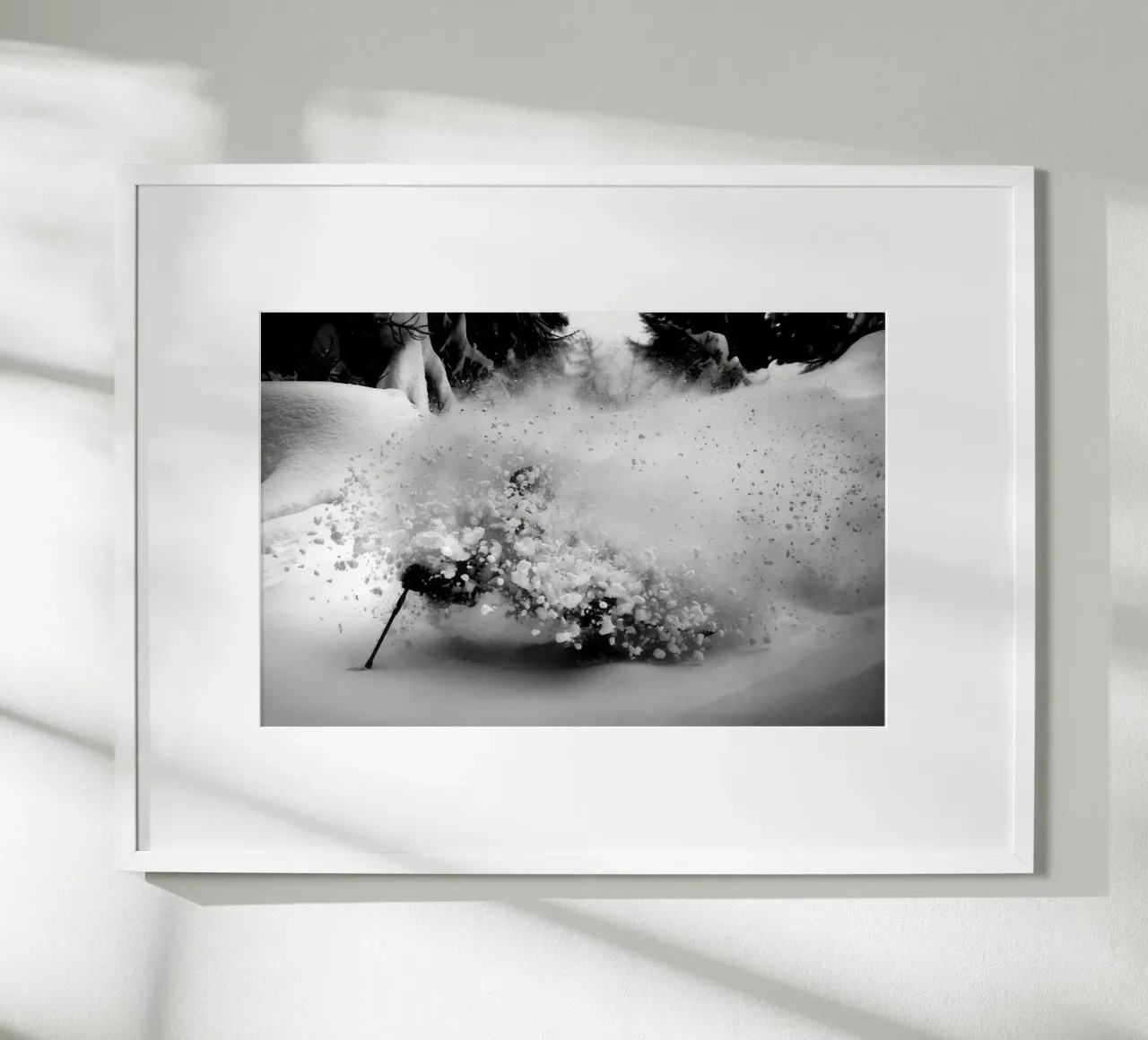 SCI FREERIDE 119 poster da clssical moment