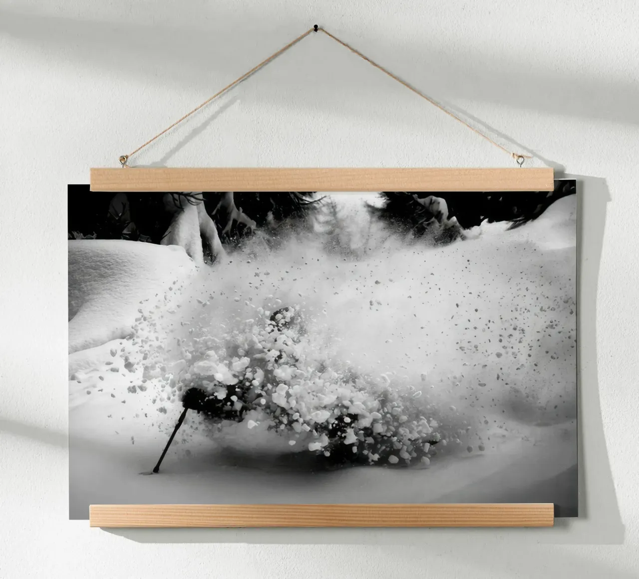 SCI FREERIDE 119 poster da clssical moment