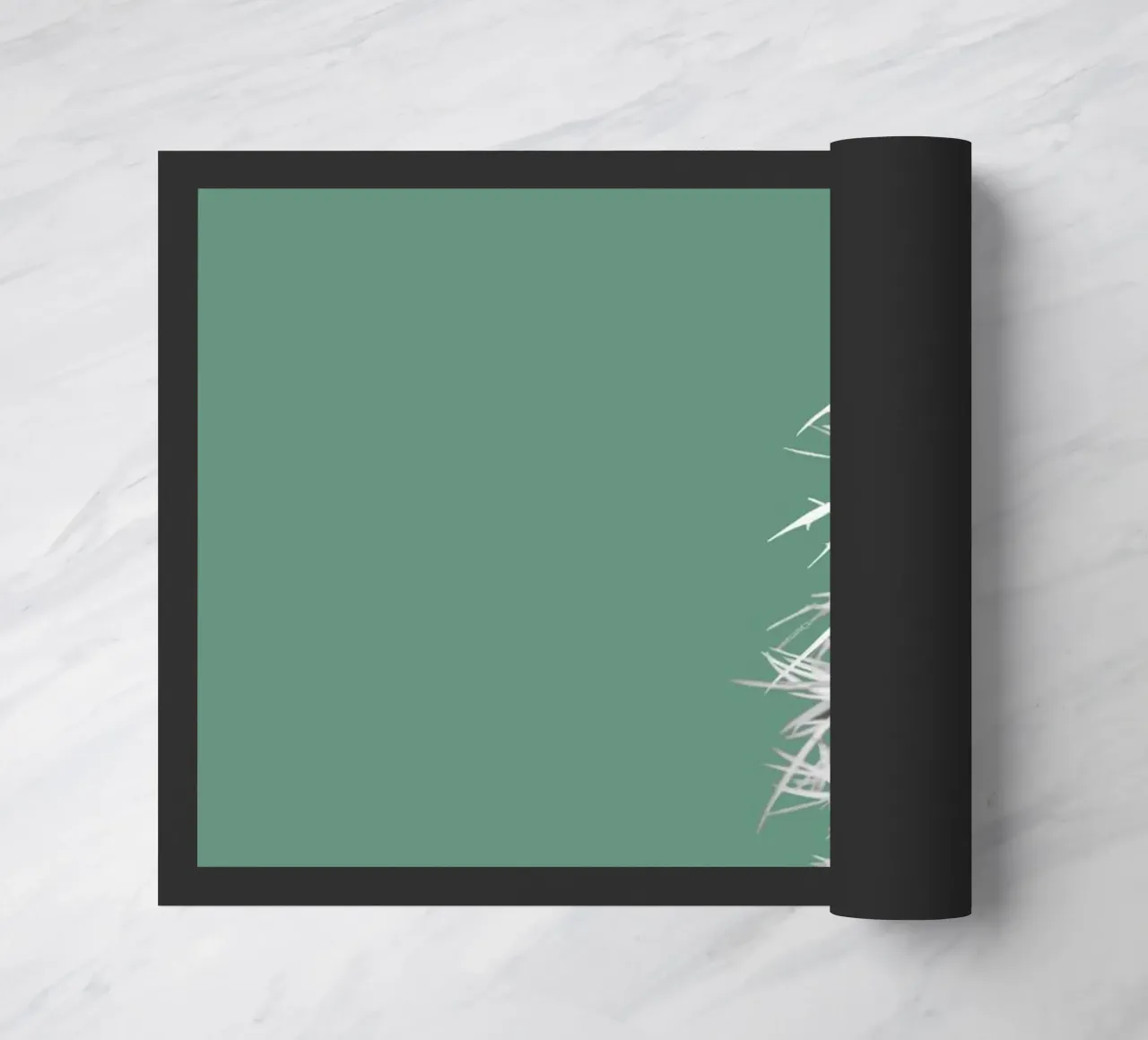 Cactus zerbino da Studio Driver