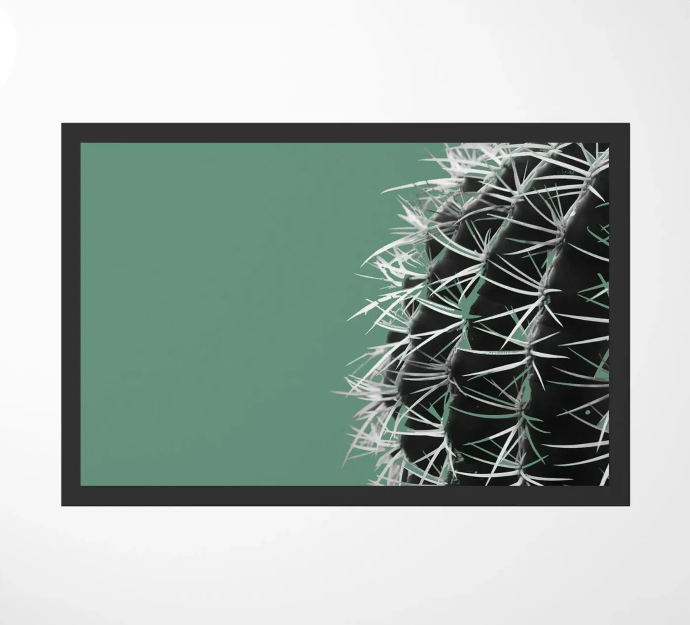 Cactus zerbino da Studio Driver