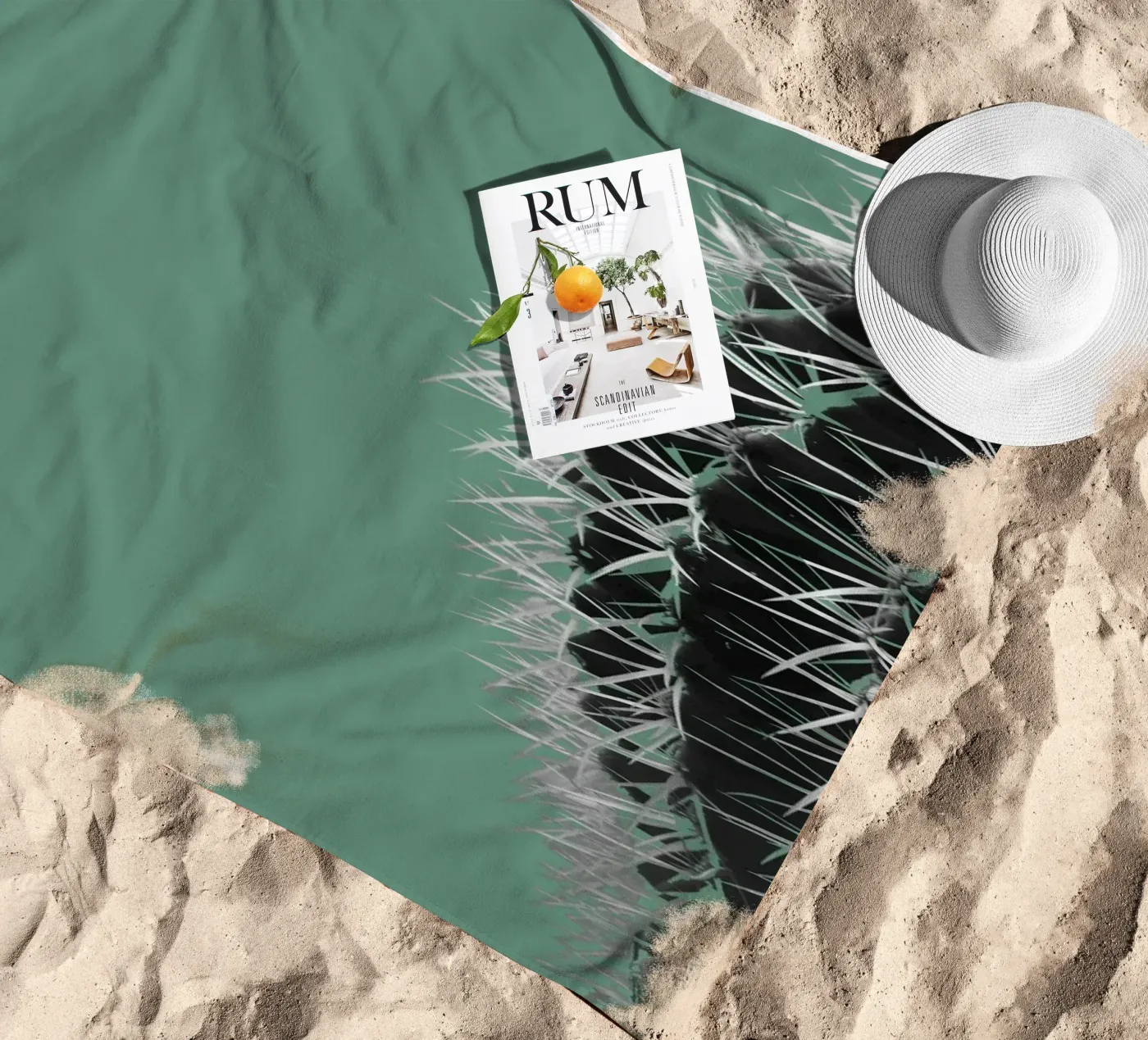 Cactus telo mare da Studio Driver