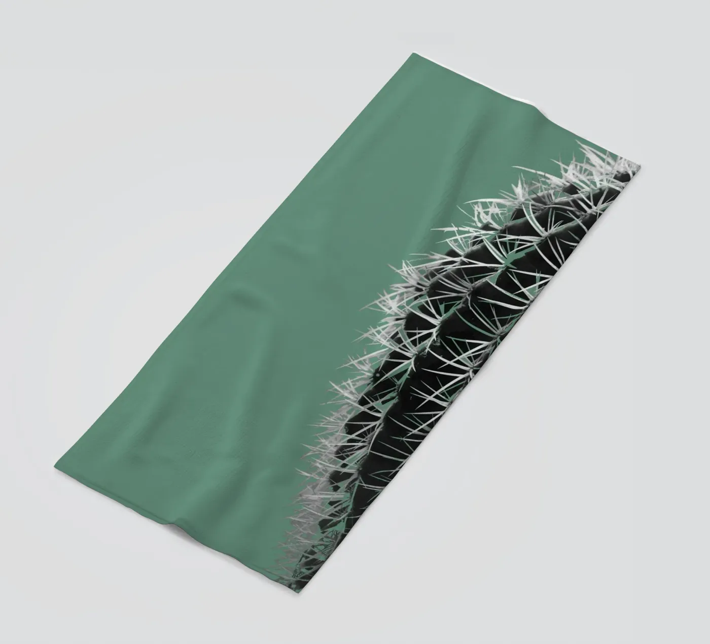 Cactus telo mare da Studio Driver