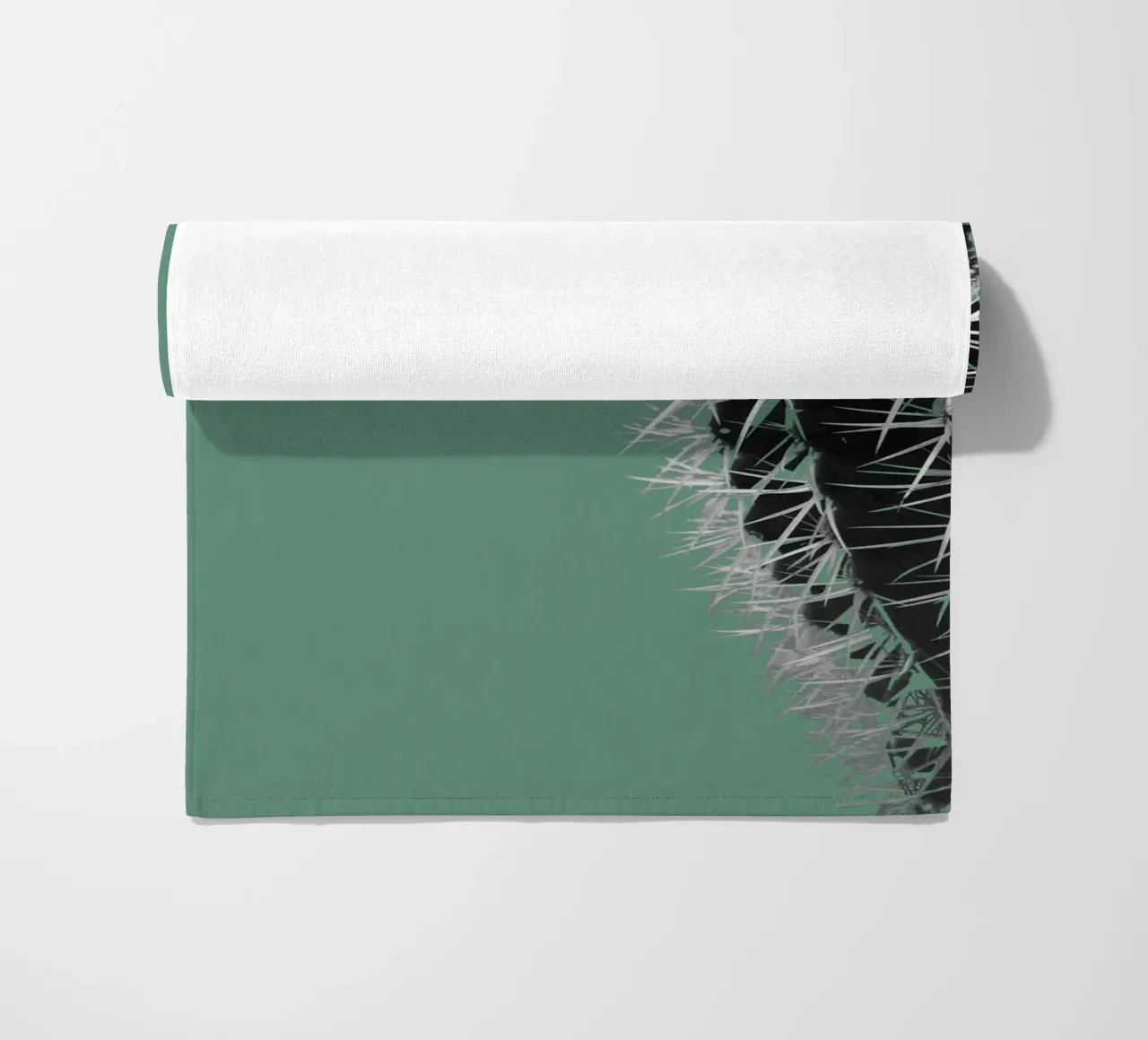 Cactus telo mare da Studio Driver