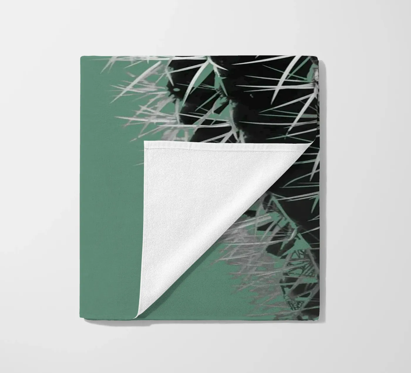 Cactus telo mare da Studio Driver