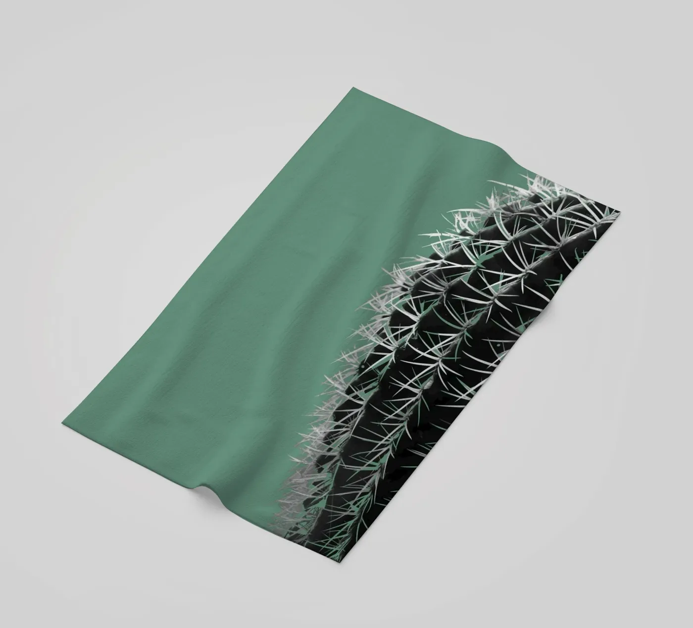 Cactus telo mare da Studio Driver