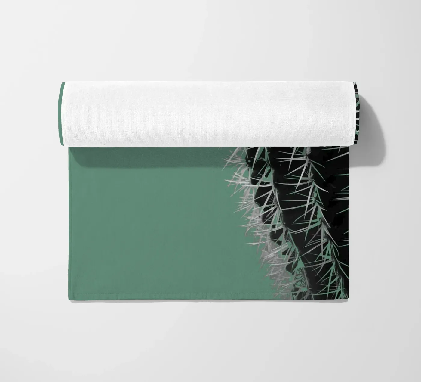 Cactus telo mare da Studio Driver