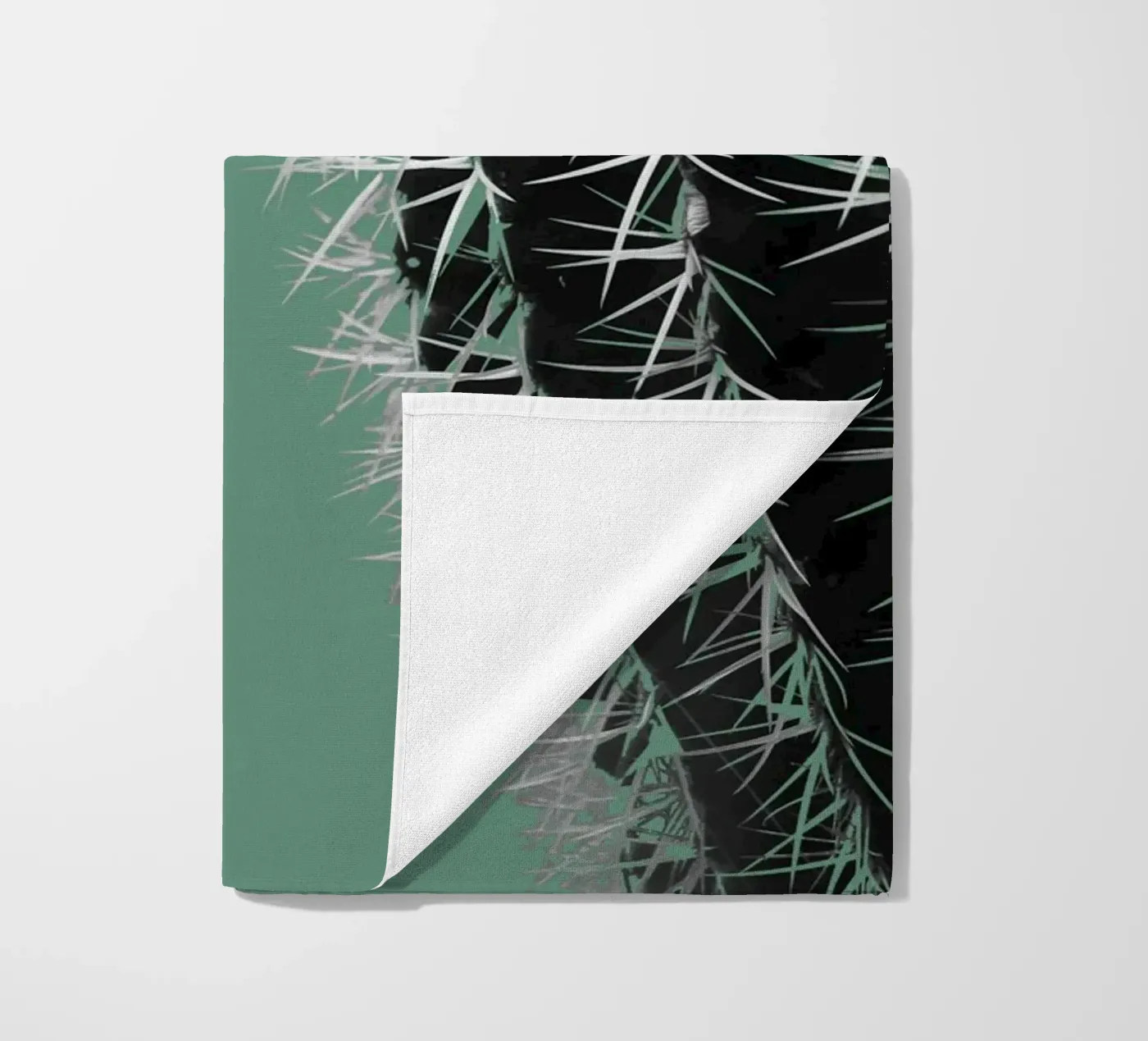 Cactus telo mare da Studio Driver