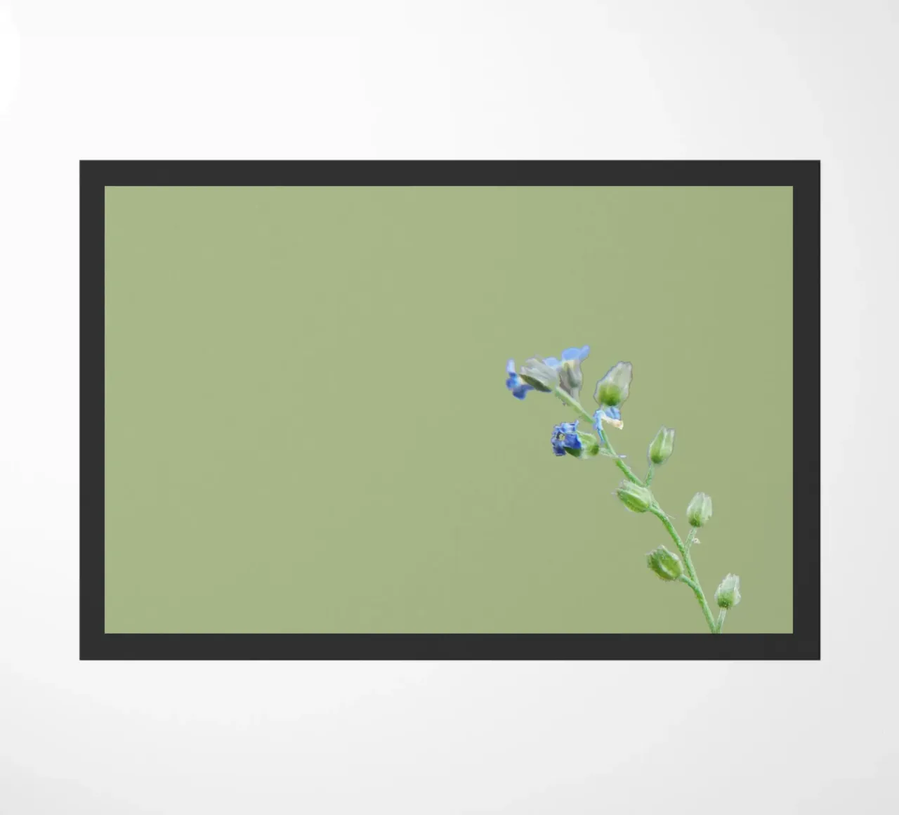 fiori zerbino da Studio Driver