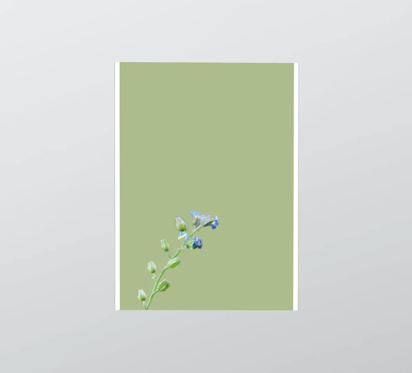 flowers sticker by Studio Driver