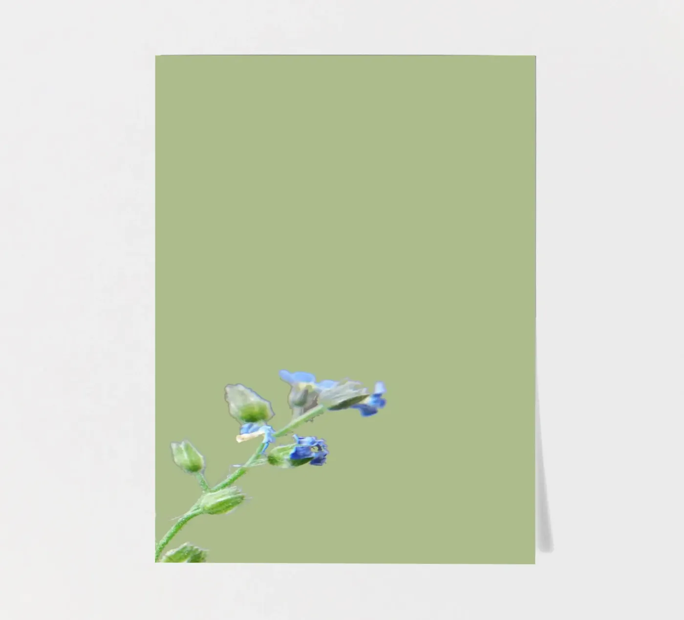 flowers sticker sheet by Studio Driver