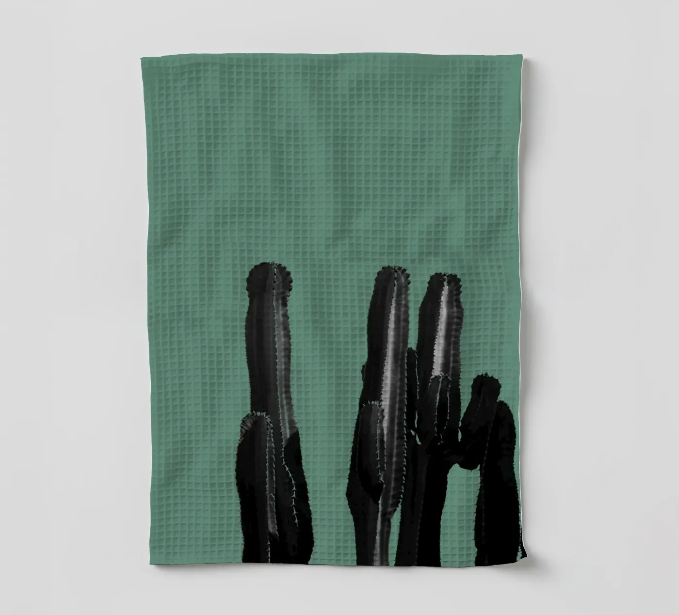Cactus torchon de Studio Driver