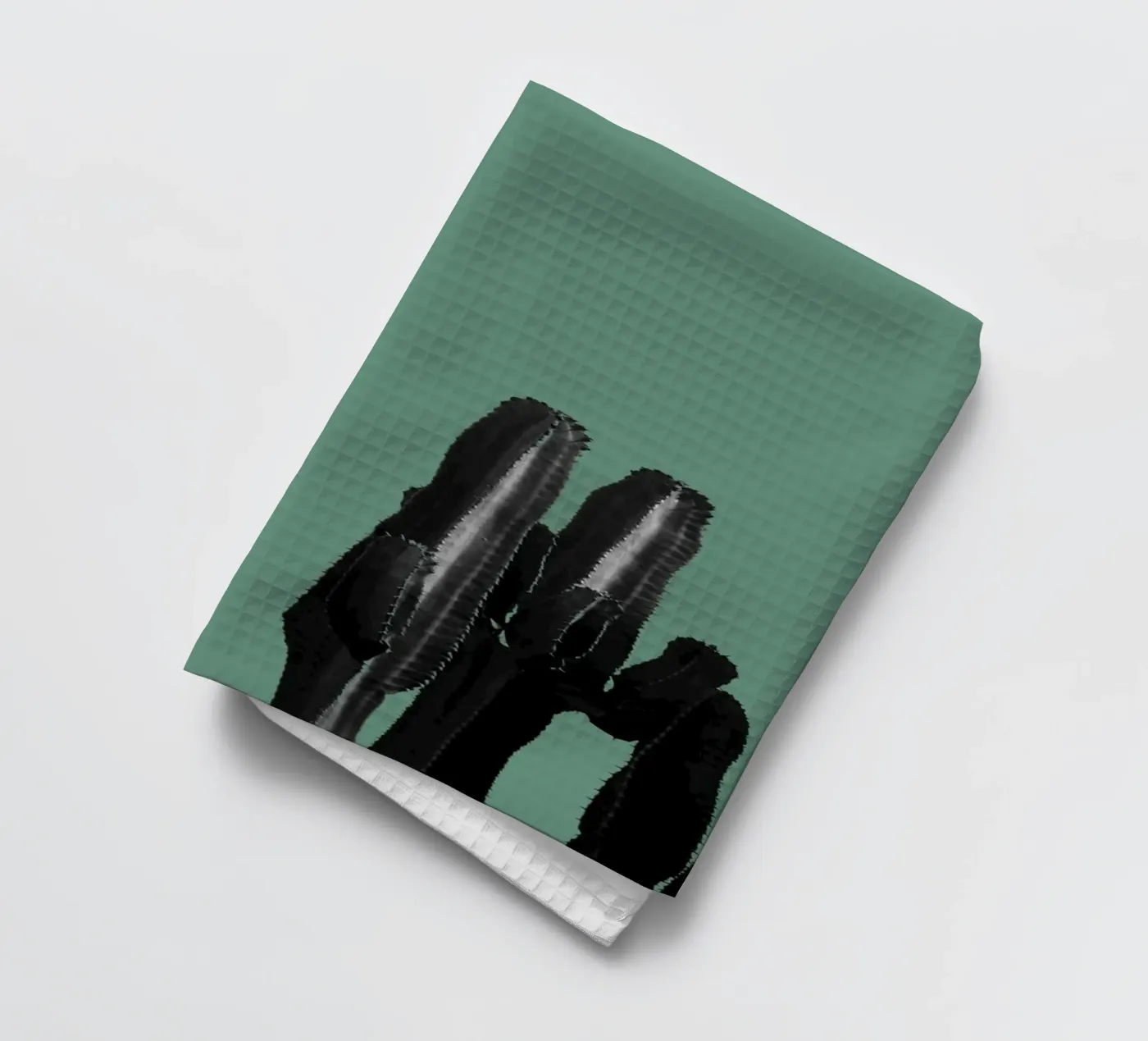 Cactus torchon de Studio Driver