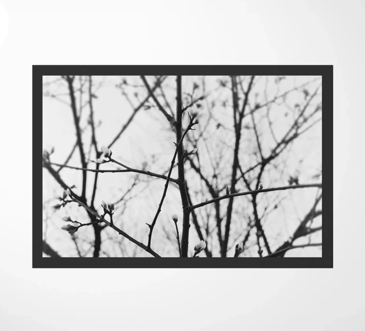 Bare Tree Branches doormat by PERSIE