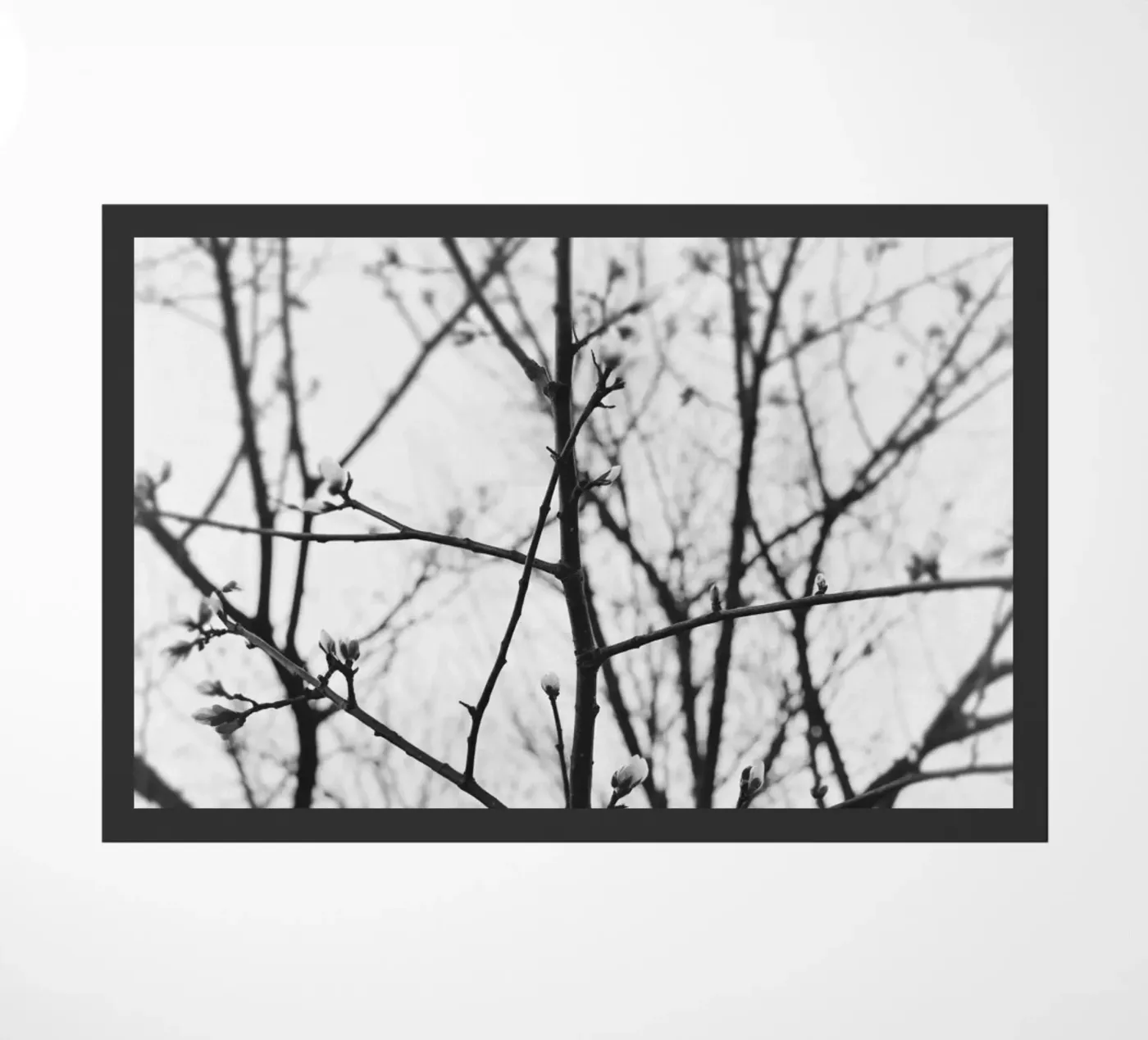 Kahle Äste Fußmatte von PERSIE