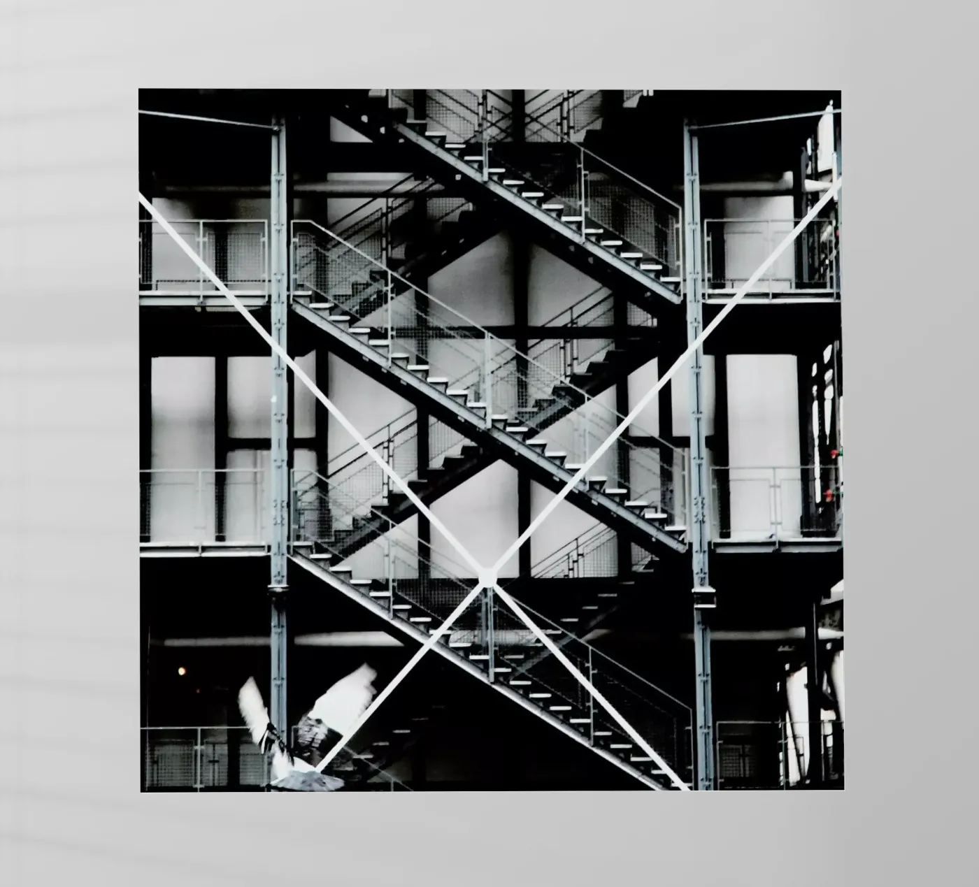 Gray pellicola backlit da Sophie Etchart