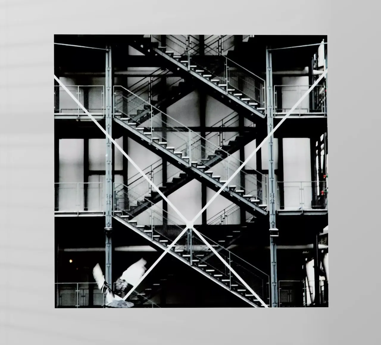 Gray pellicola backlit da Sophie Etchart