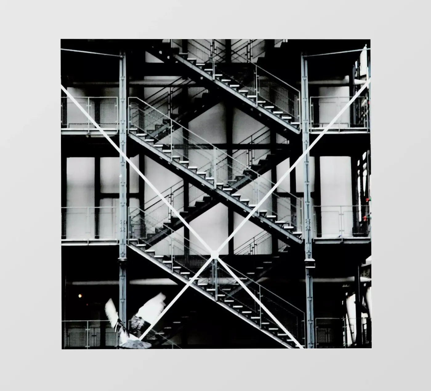 Gray telo in pvc da Sophie Etchart