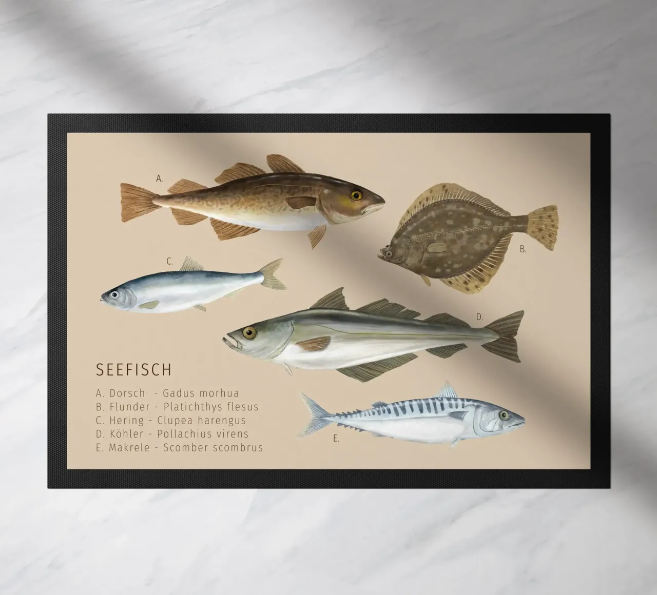 Seefisch zerbino da herzundpapier