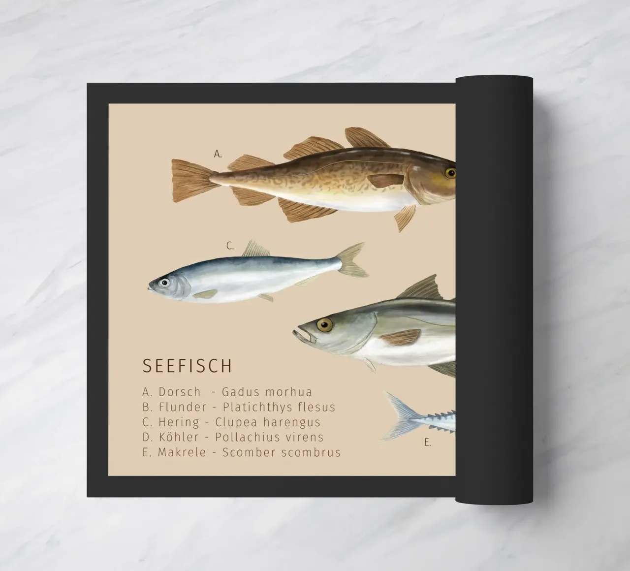 Seefisch zerbino da herzundpapier