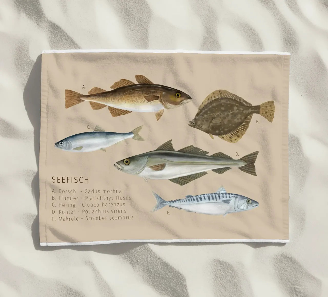 Seefisch telo mare da herzundpapier