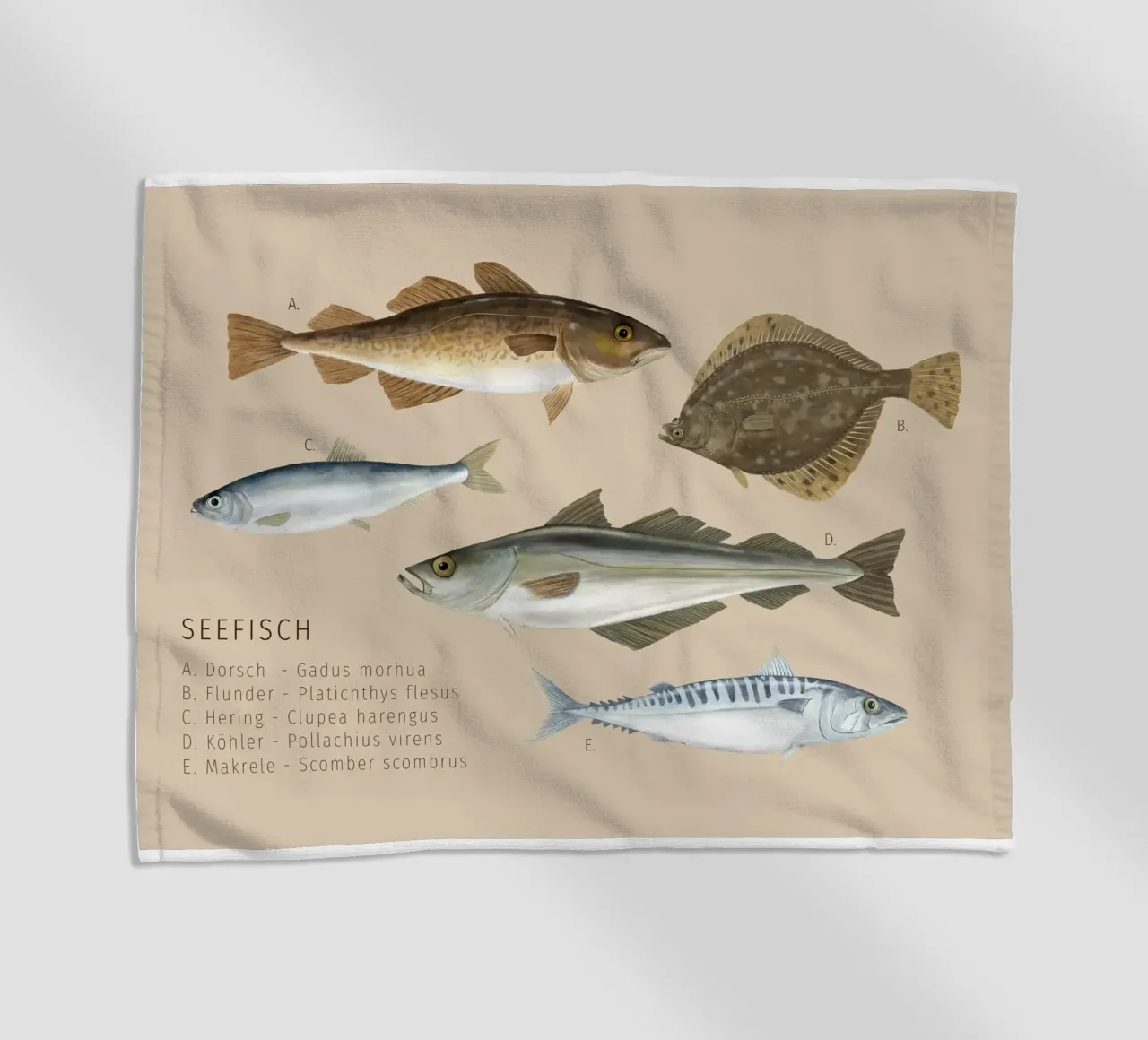 Seefisch telo mare da herzundpapier