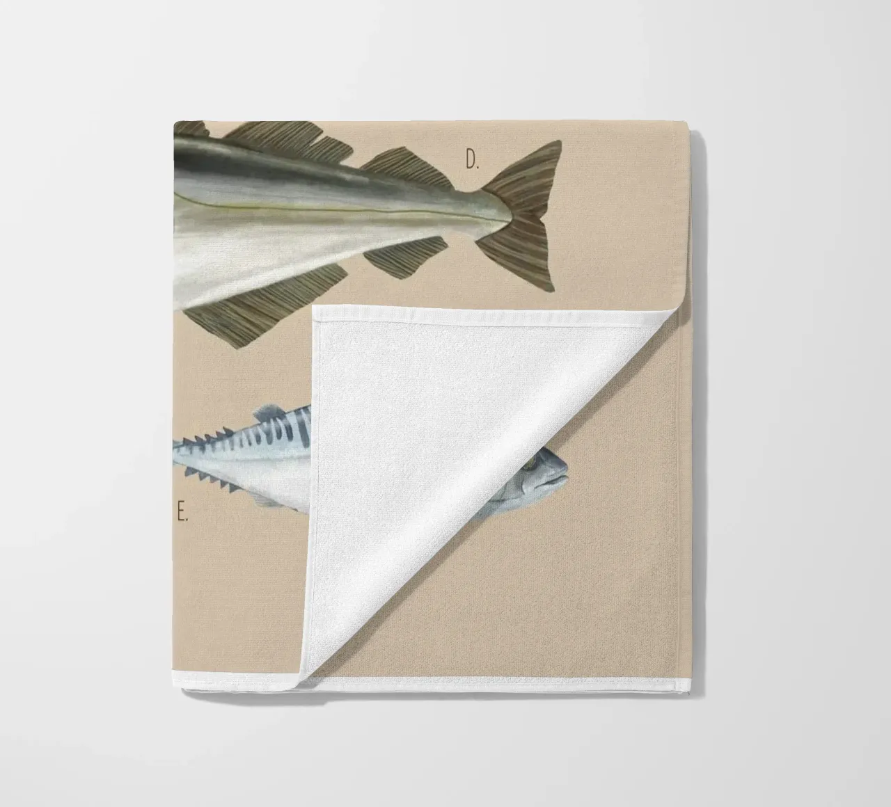 Seefisch telo mare da herzundpapier