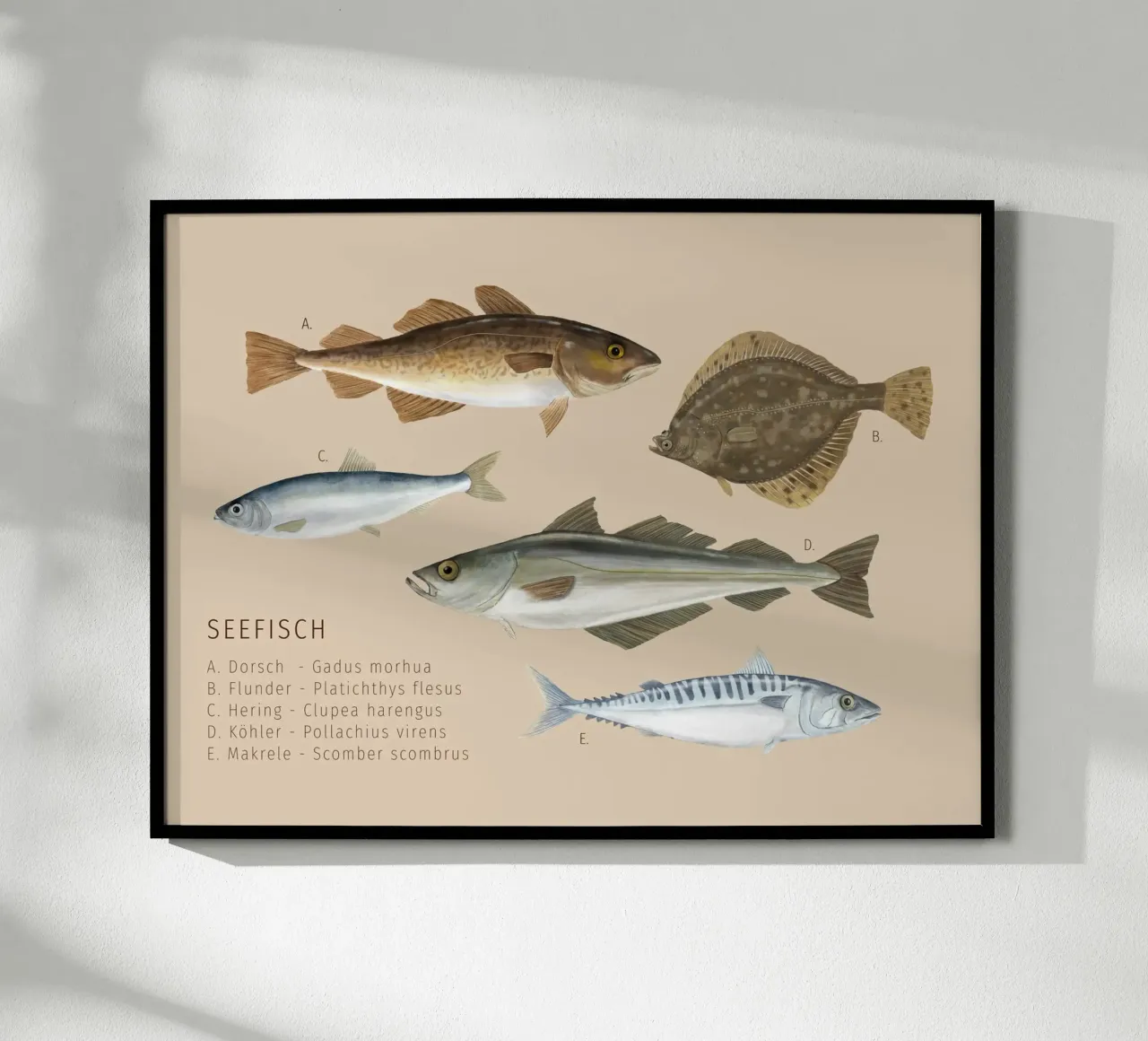 Seefisch poster da herzundpapier