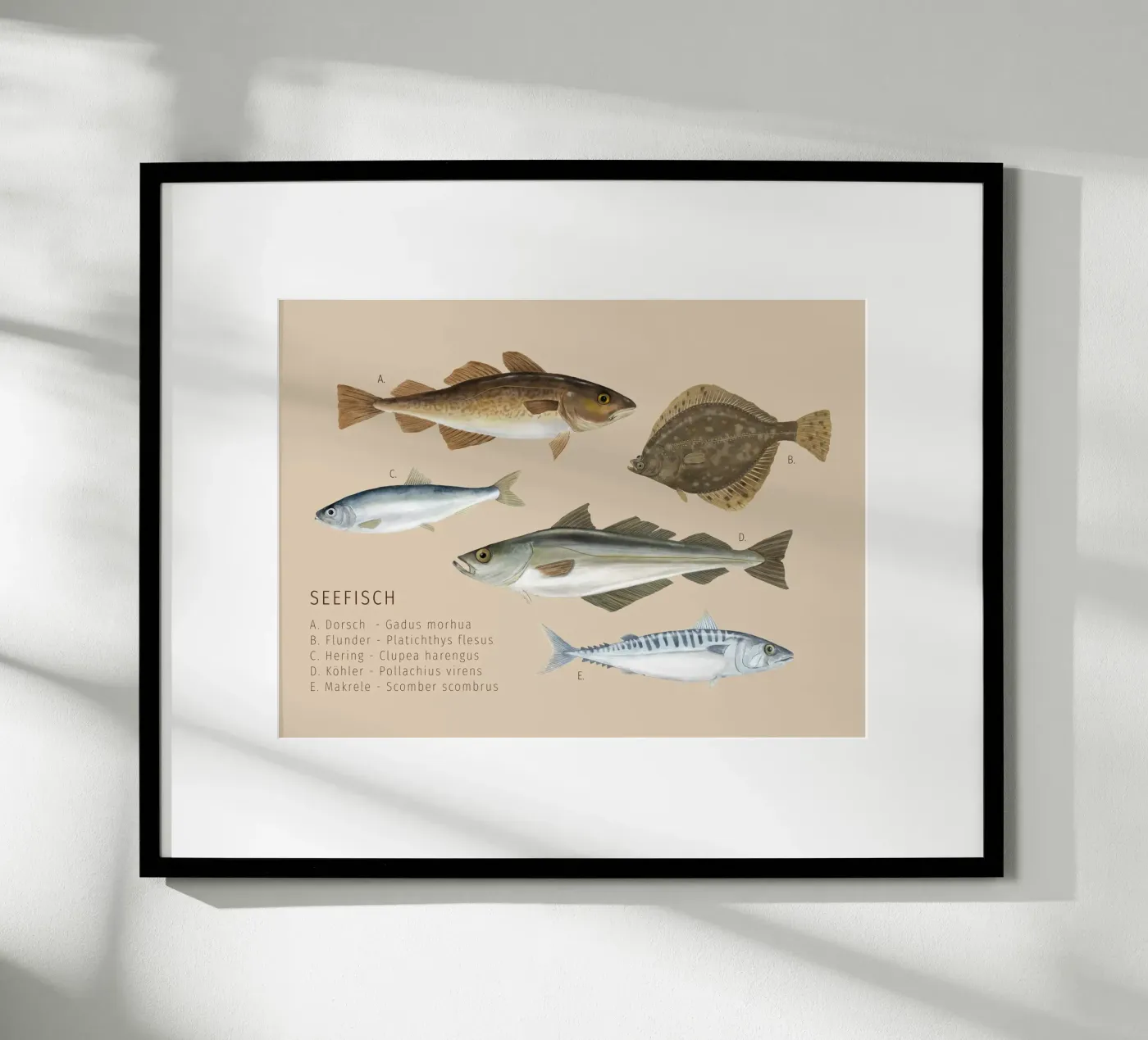 Seefisch poster van herzundpapier