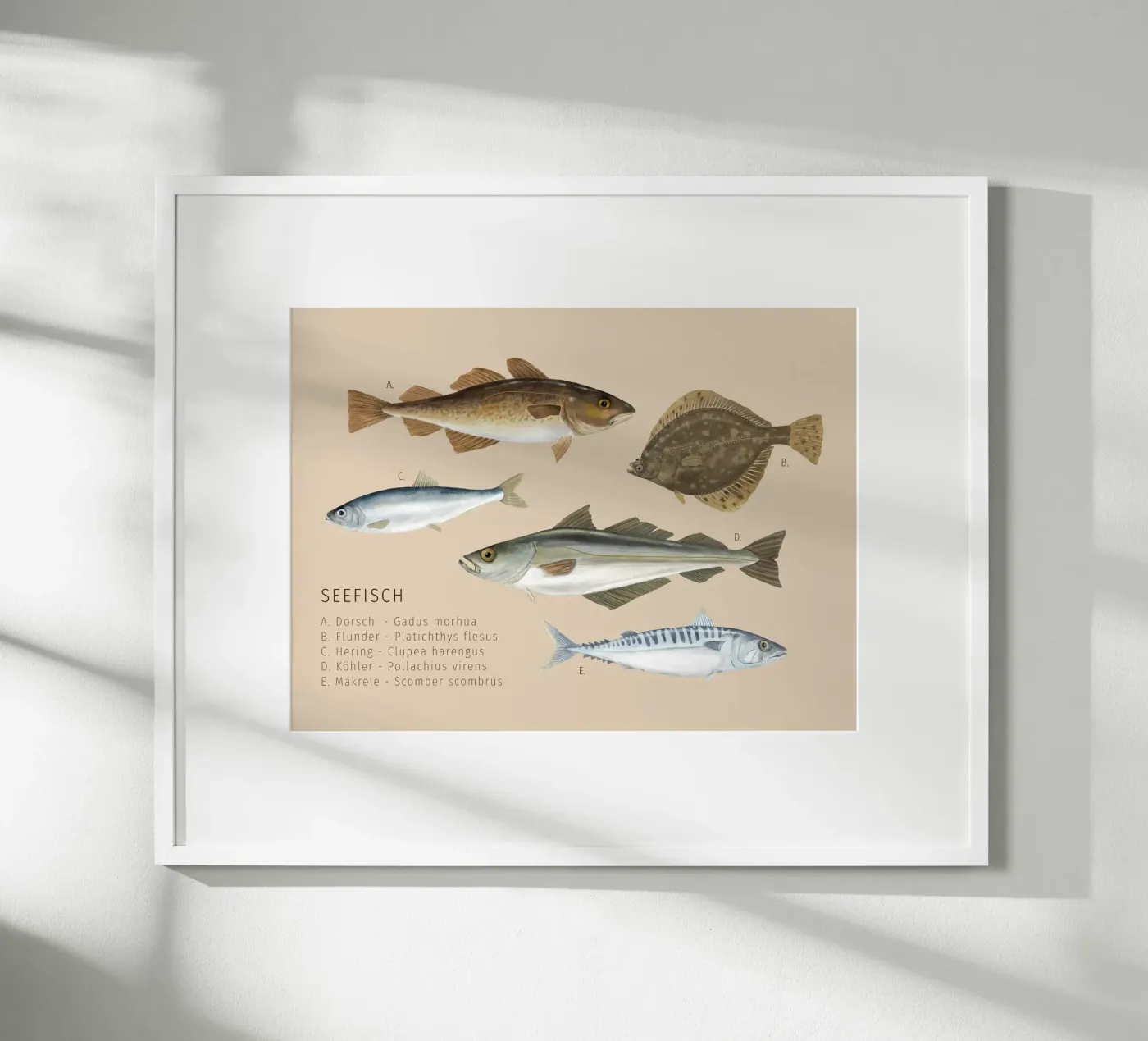 Seefisch poster van herzundpapier