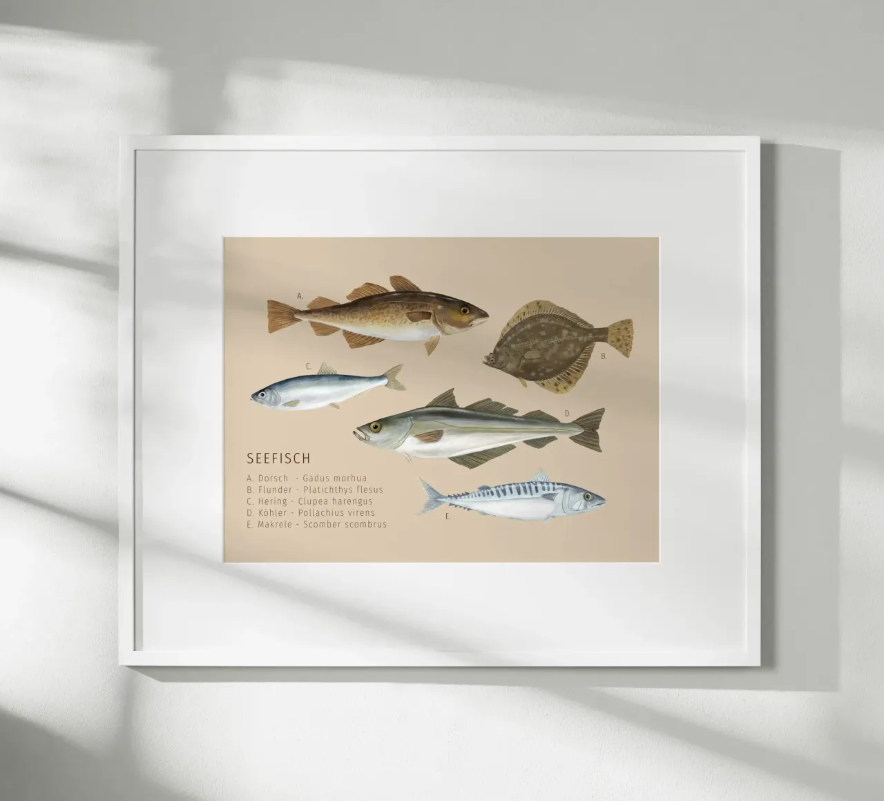 Seefisch poster da herzundpapier