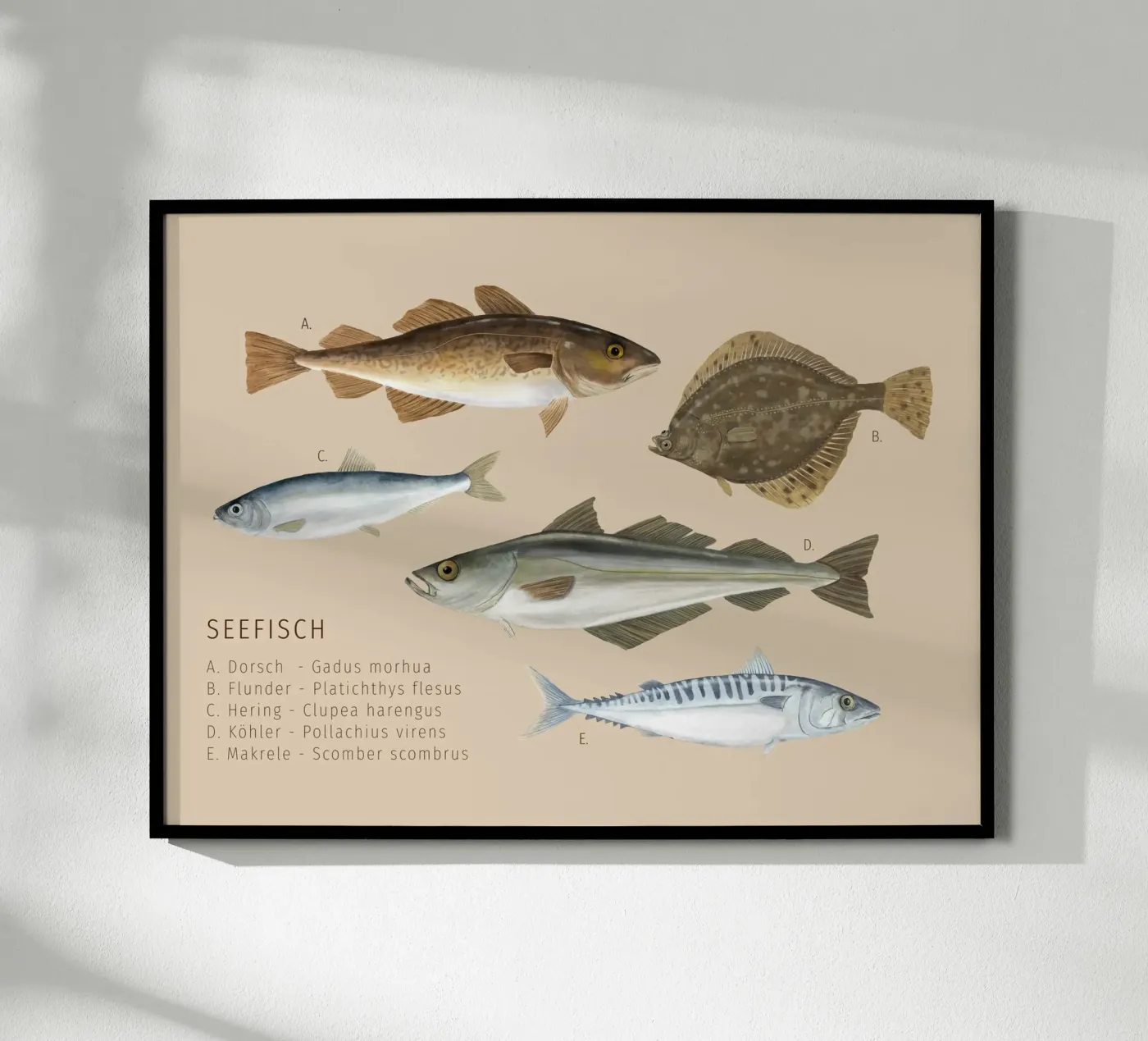 Seefisch poster van herzundpapier