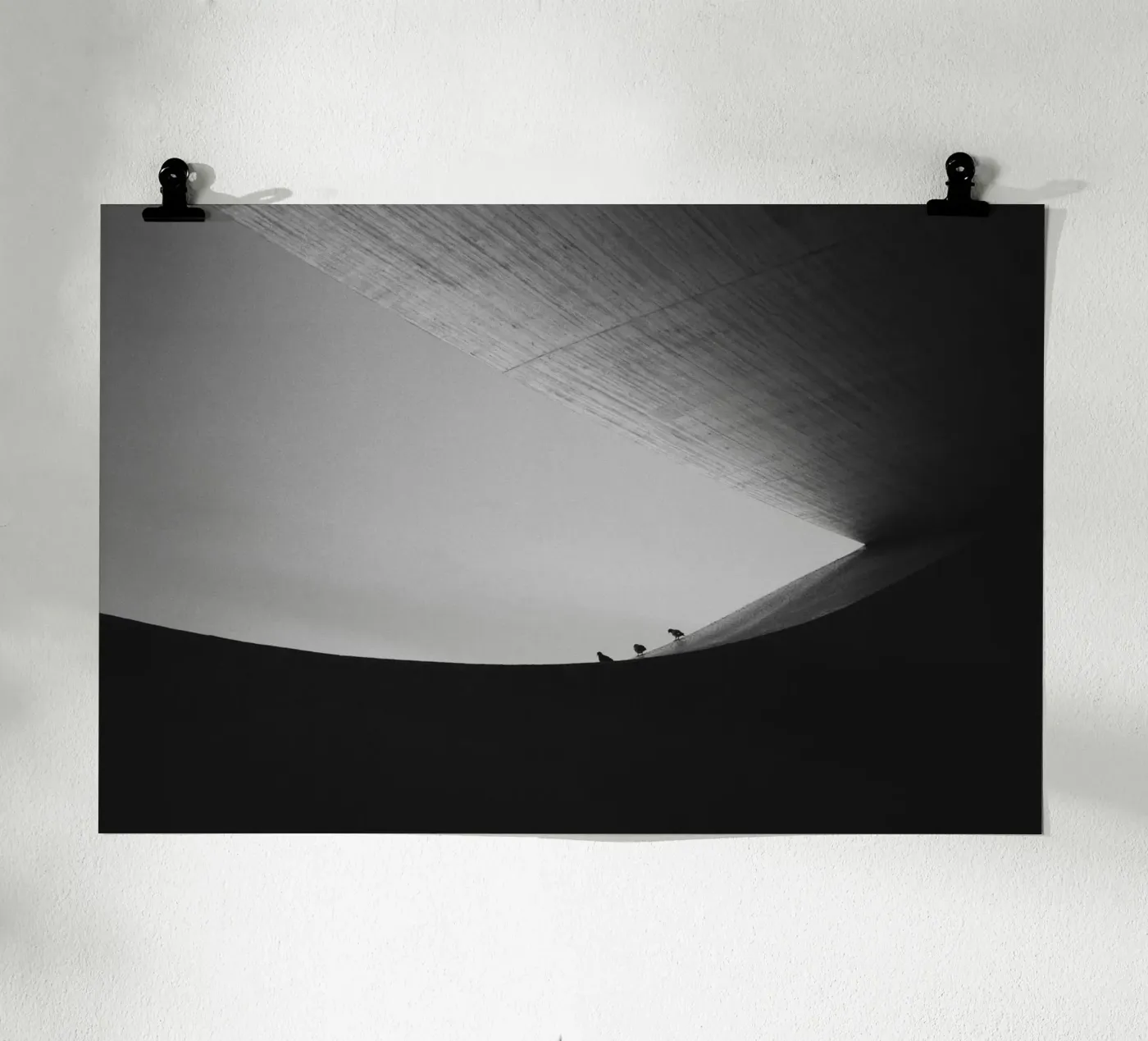 The Three Birds poster van jacques-analog