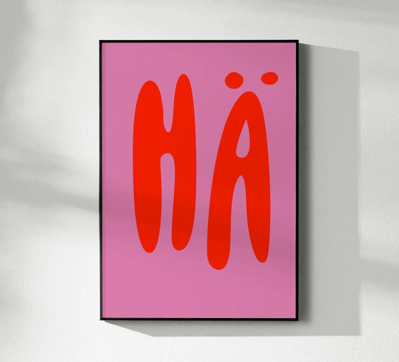 hä rosa plexiglass da mariescolours