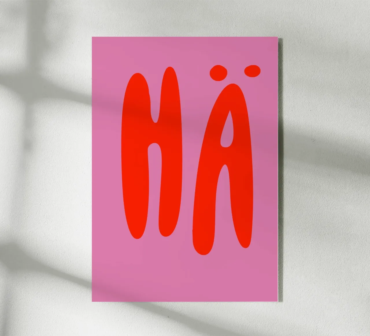 hä rosa plexiglass da mariescolours