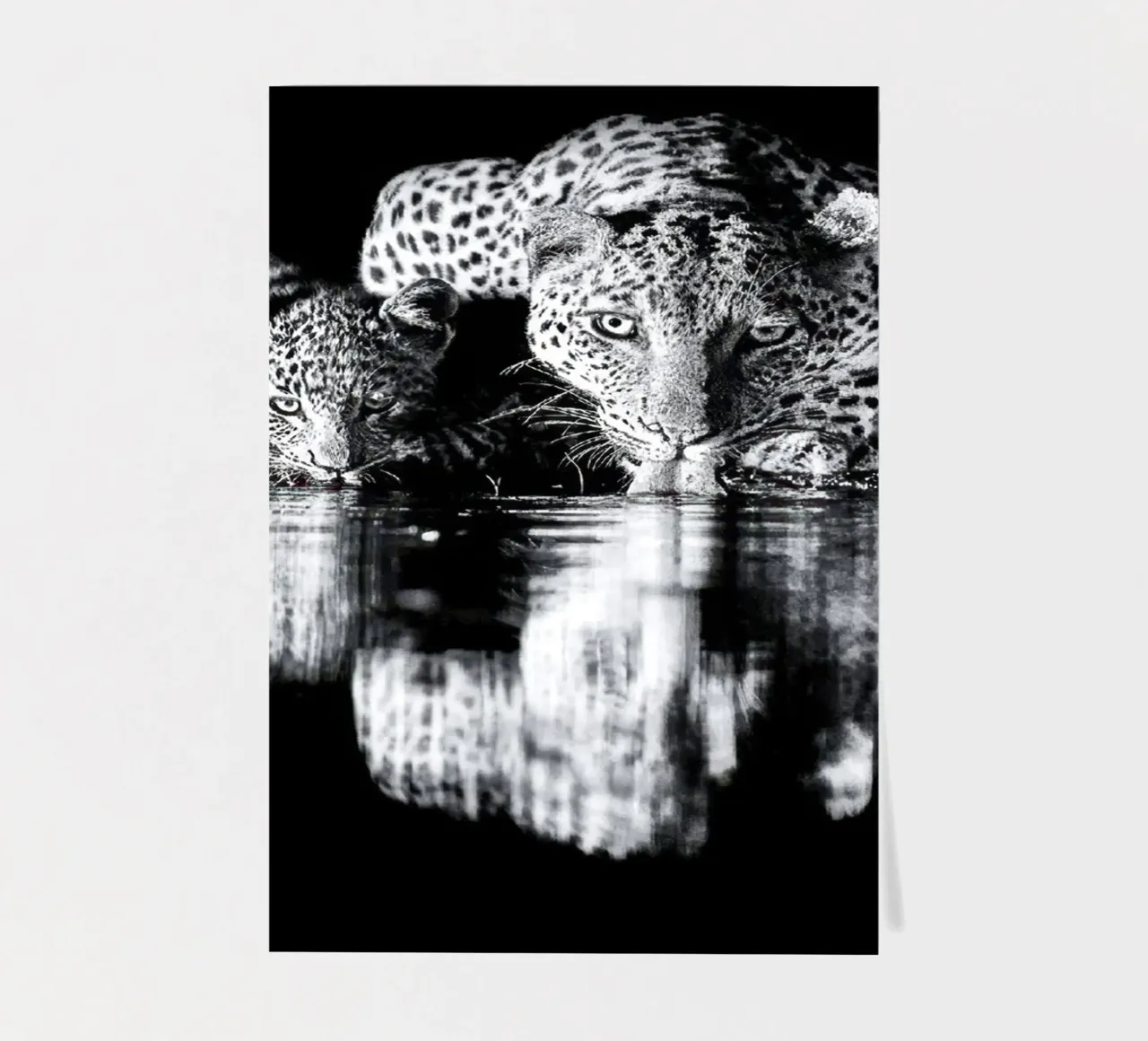 Two face sticker sheet by NICE CHOICE