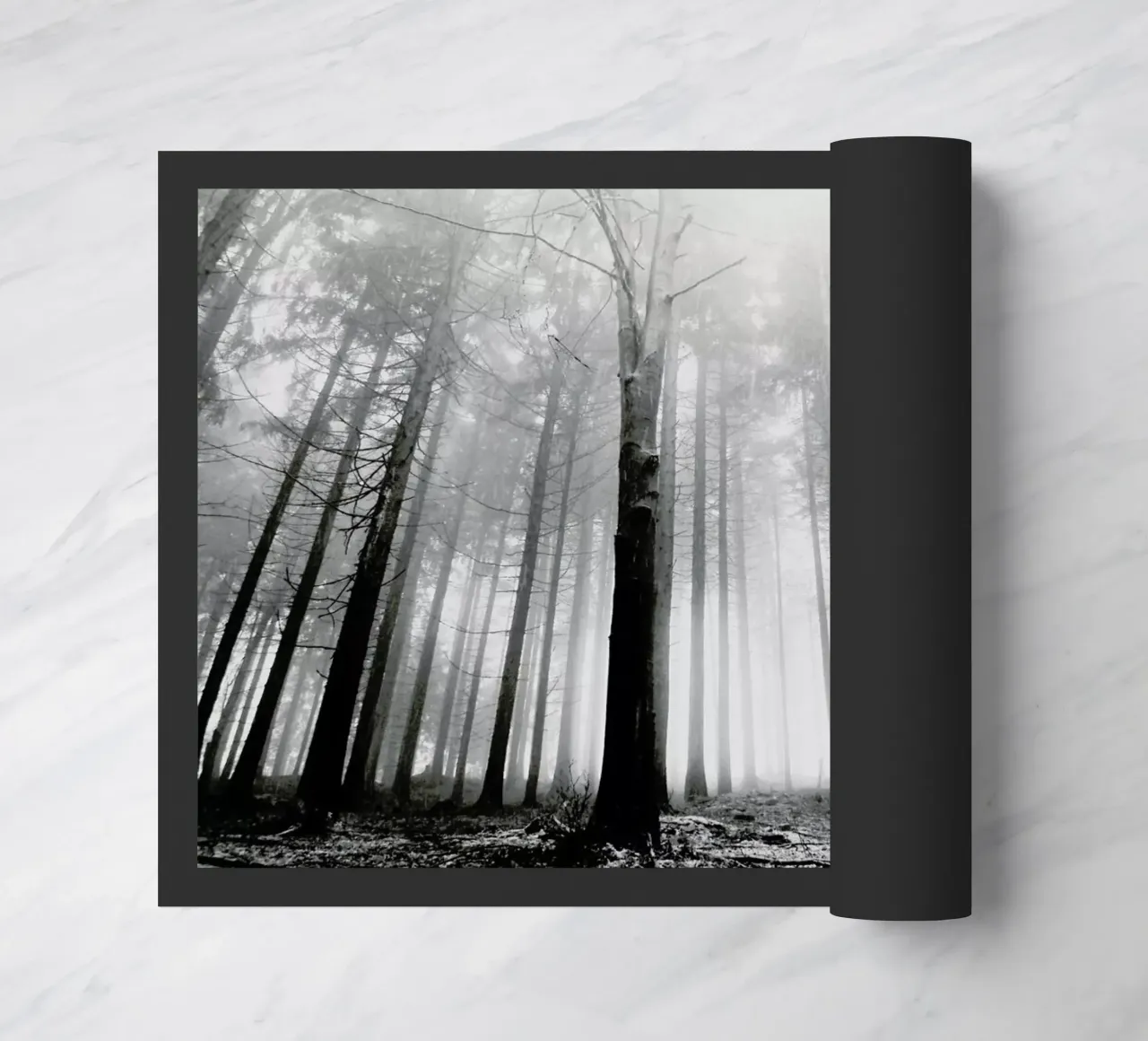 Within Reach zerbino da Victoria Frost